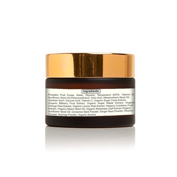 Arista Pumpkin mask back