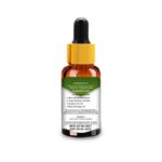 Moringa Oil - Image 2