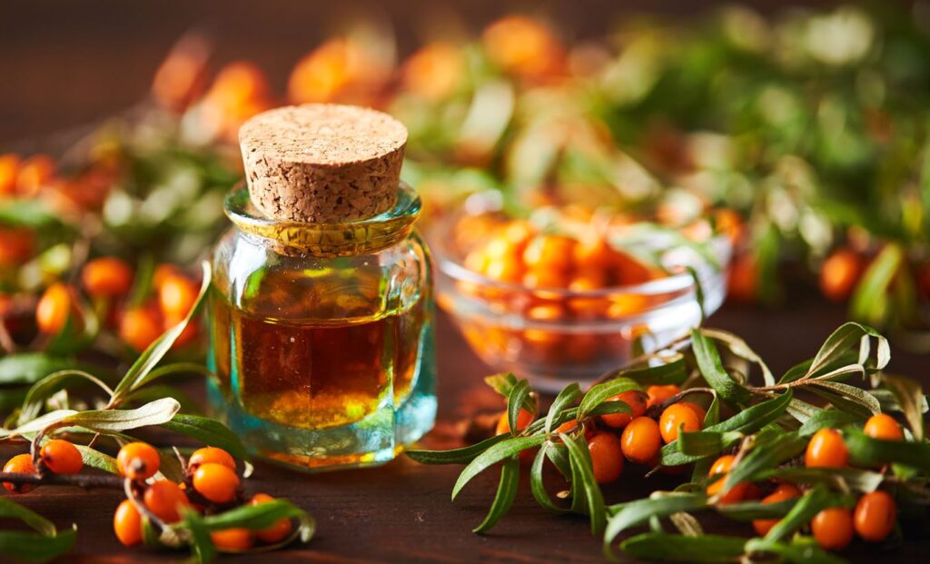 sea buckthrown oil benefits for hair and skin